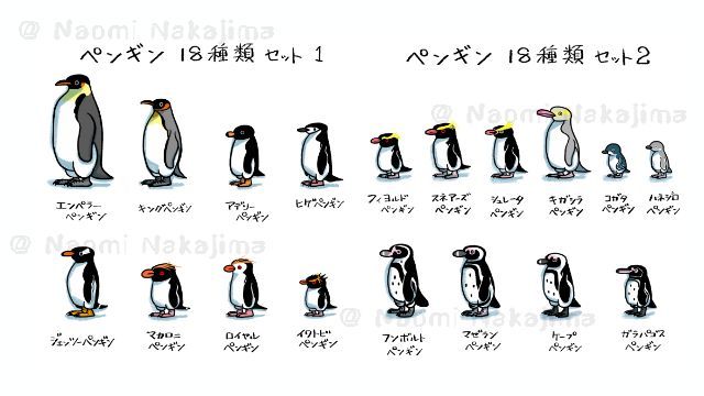 ナカジマナオミ ペンギンのストックイラストの需要はどうなんだろう ペンギン とか合わせるとか どんなところで需要があるのかとか使いどころは ストックイラスト ペンギン