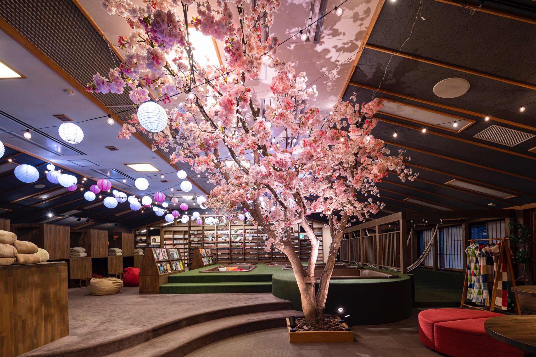 おふろcafe Bijinyu 美肌湯 桜が咲きました インドア花見 エア花見 T Co 2qunfbhxwn Twitter
