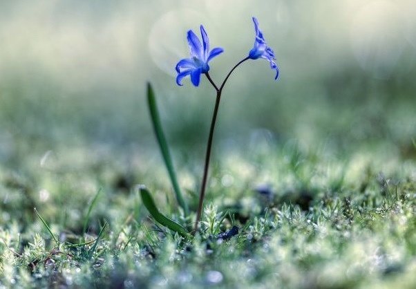 역경은 
당신에게
잘못한 것을
생각하게 하고

시련은
당신에게
모르는 것을
알아가게 해 주고

고난은
당신에게
배워야 할 것을
가르쳐 준다

그렇게
아픔을 통해
조금씩 성장해 간다