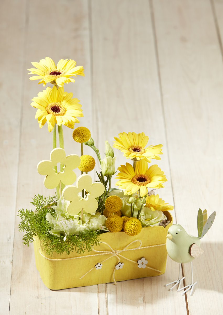 🌻JUST ARRIVED🌻

Bright, Bold and Beautiful - our Bella Collection is now ready to shop from our website!

Browse and shop here: oasishomeandhobby.co.uk/catalogsearch/…