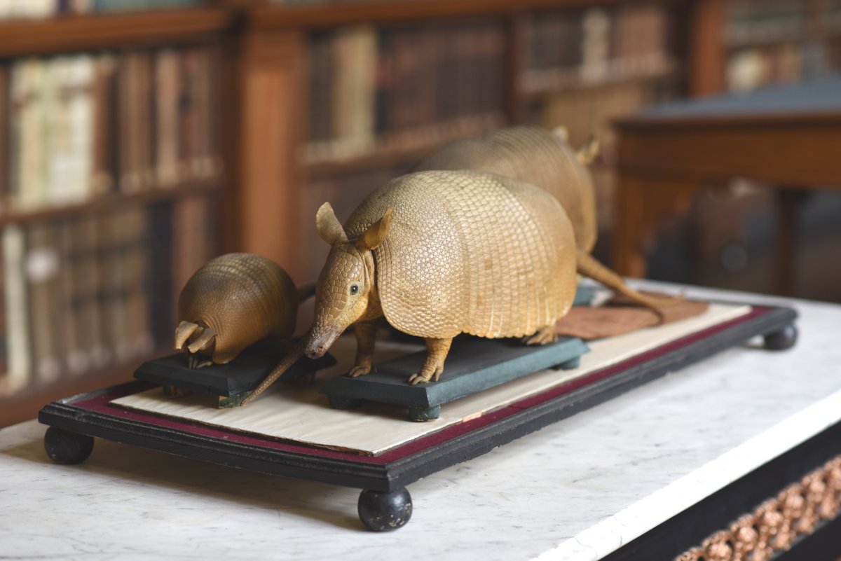 Stonyhurst Enterprises tweet media