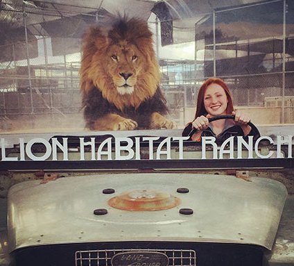 The Lion Habitat Ranch is home to lions, giraffes and exotic birds. Located just outside of the Las Vegas Strip, this animal sanctuary offers several exciting experiences, including feeding packages and guided tours. More at vegasjourney.com/blog/lion-habi… #Lions #Vegas #LasVegas