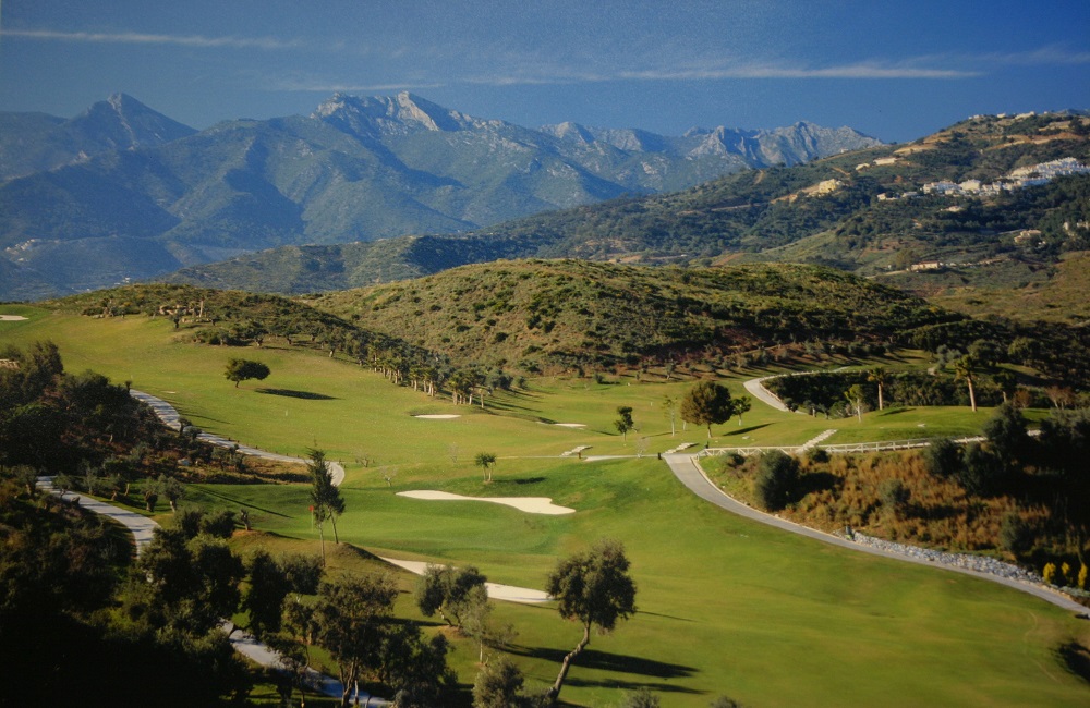 Leading Courses tweet media