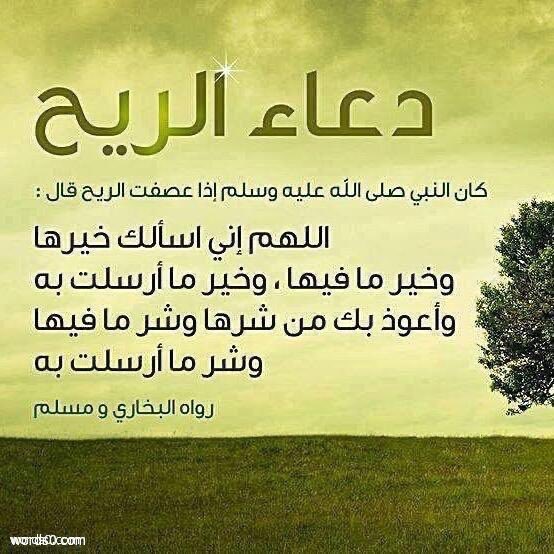 غارة مولد كهرباء خزف الارض بعد تقلب الفصول Neobled Com
