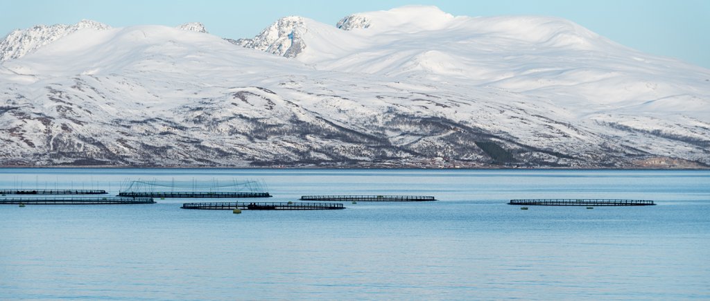 Xledger Norway tweet media