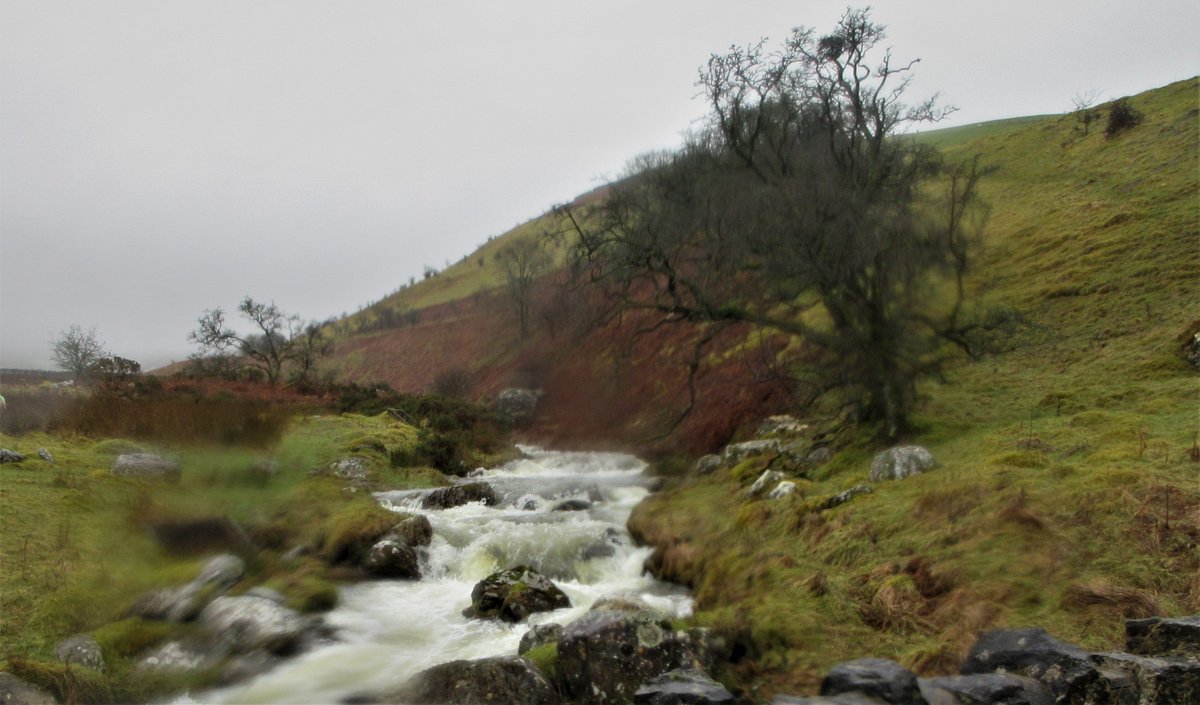 StanLeigh18's tweet photo. #Embleton #Cumbria
featuring #TomRuddBeck
-r Rich in the rain heading for #HighSide , wearing Dad's gaiters
- flowing fast & Furious
- calmer flow at same location April 2017
- Beck end - into #RiverCocker #Cockermouth
@PictureCumbria @FeatureCumbria @TMaryporters https://t.co/twYRtQHBbN