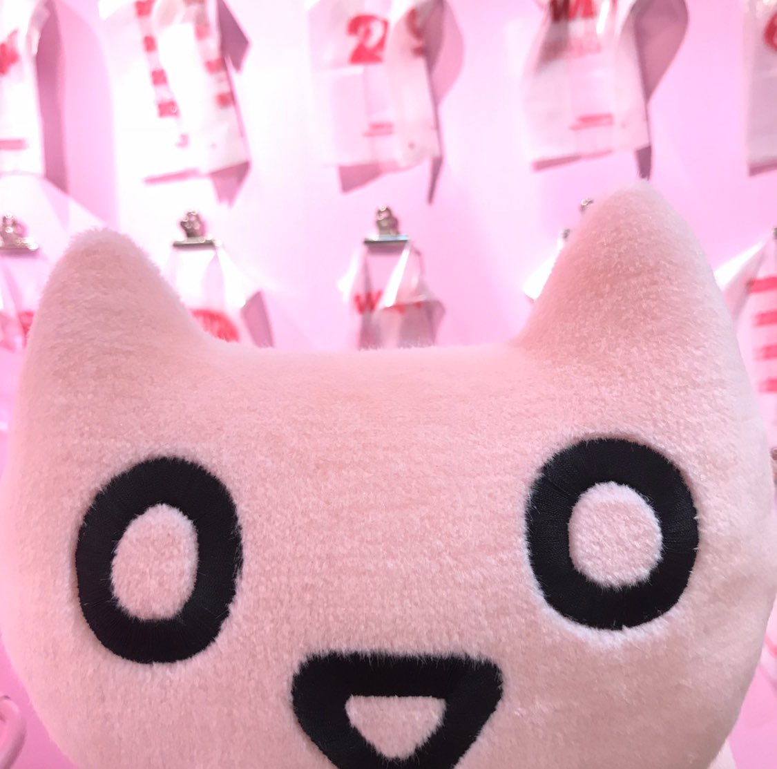 22market_'s tweet photo. 【お知らせ】あと2時間きりました🐱💭⚡️ https://t.co/FzstkGhgOC