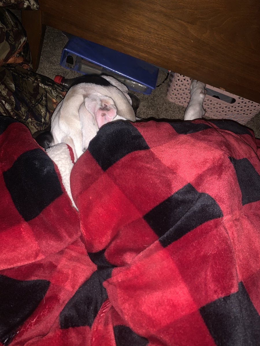 Good morning from Remi