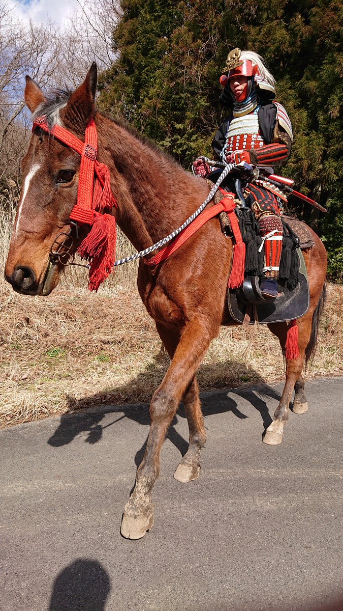 まーこ 写真集発売中 甲冑での乗馬 着物でも難しかったですが 甲冑着用ではなかなか大変ですね 当時の騎馬武者や時代劇で馬を乗り回してる人の凄さが身に染みました ホーフクラブ田人