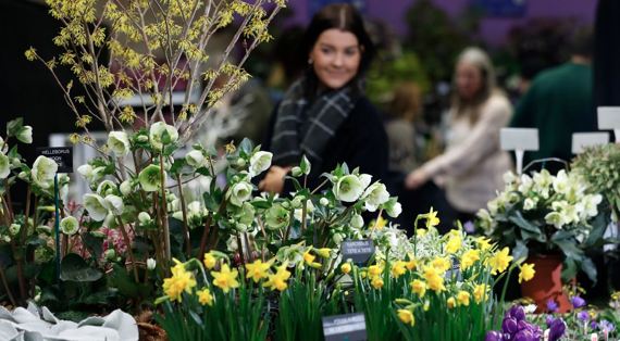 harespring's tweet photo. We are looking forward to attending the @RHSWisley Spring Plant Fair from 20-22 March where we will have lots of #Camassia and other #hardyplants for sale.
Find out more information about the fair here:
https://t.co/cxU9ouvwPi
@The_RHS #RHSWisley #springplantfair https://t.co/EZFrXS40Ky
