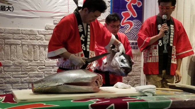 まぐろ食ってきました 