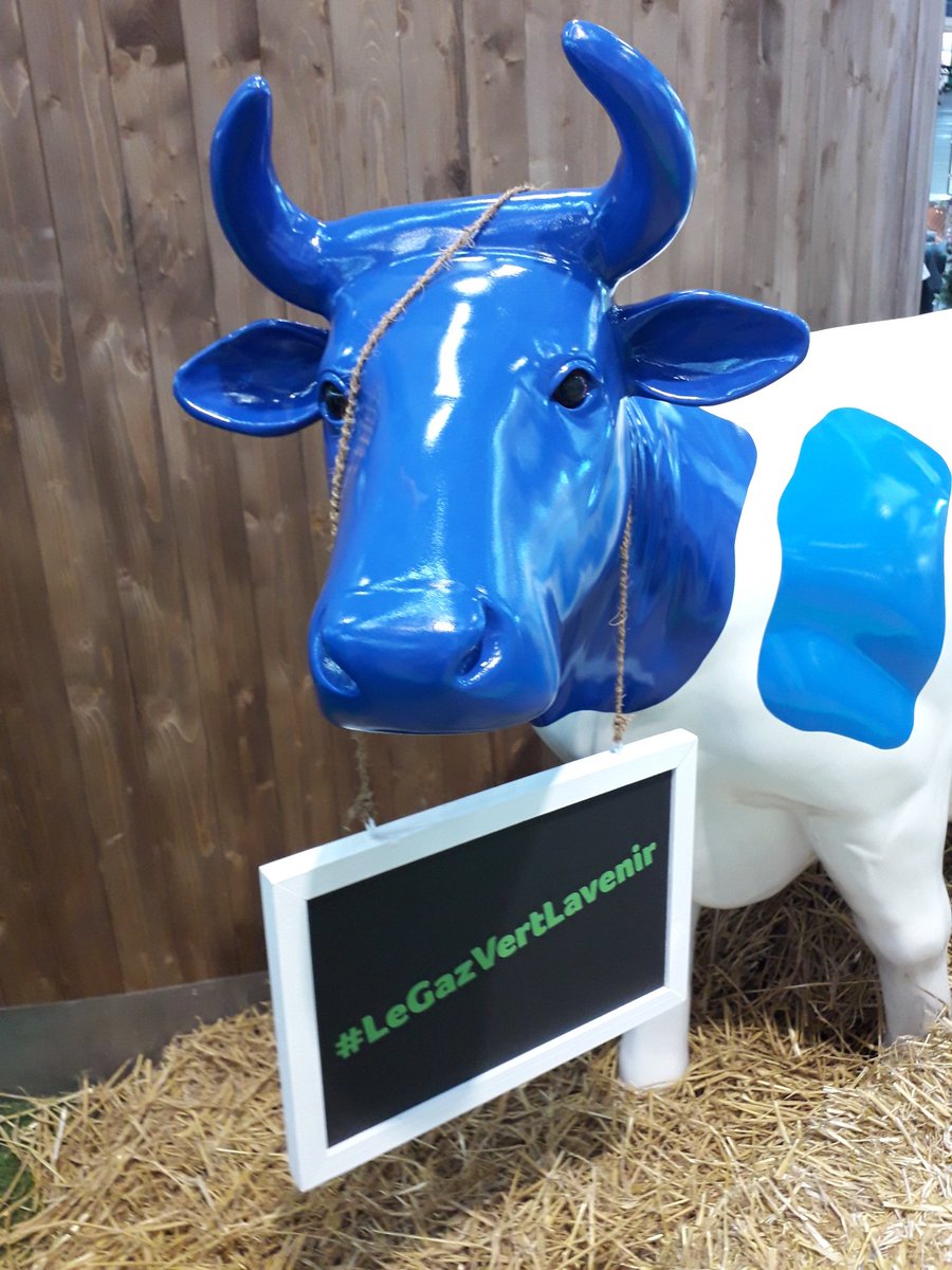 Nous sommes déjà nombreux sur le stand de #GRDF au #SIA2020. Venez découvrir 😲 la #Methanisation 🌽🥦.Les ambassadeurs🙋‍♀️🙋‍♂️du #GazVert sont à votre écoute 👂