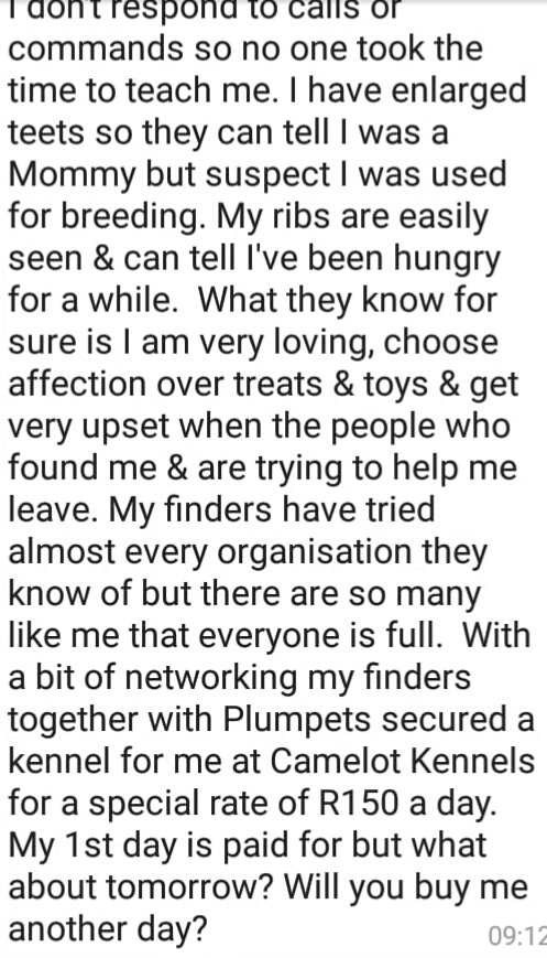 @PlumPets tweet media