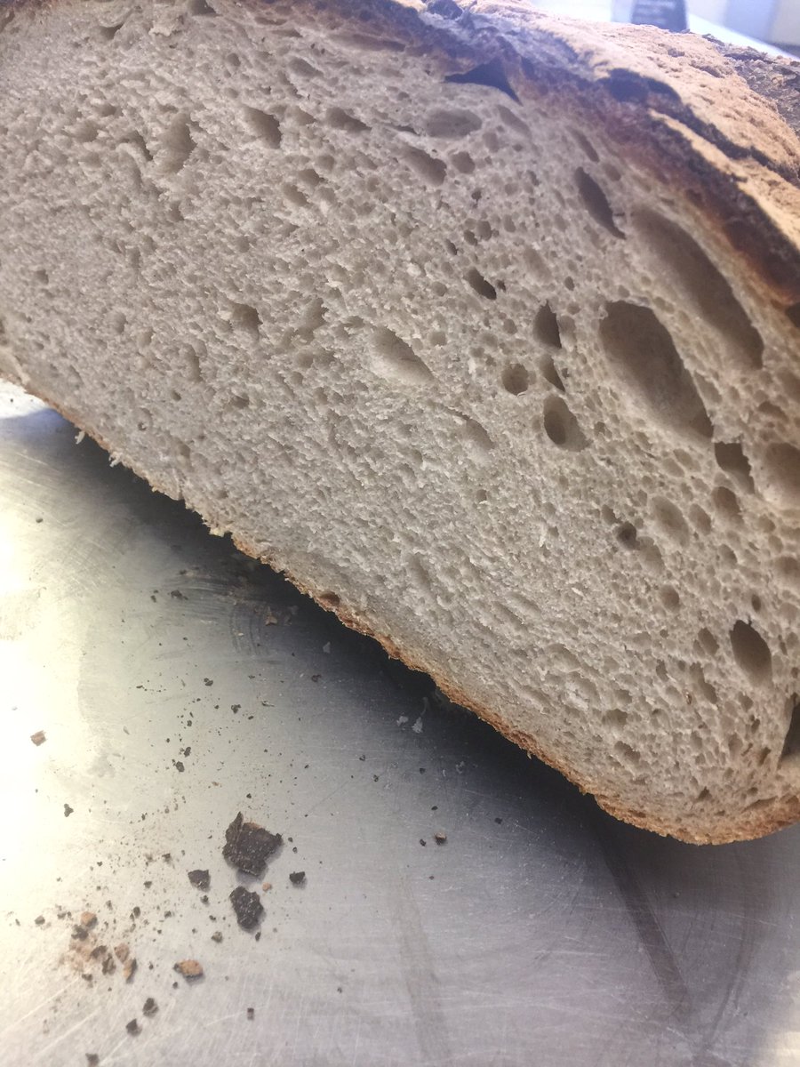 Orchard Pigs tweet media