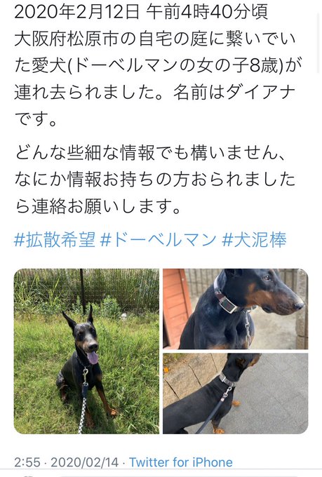 ドーベルマンのtwitterイラスト検索結果 古い順