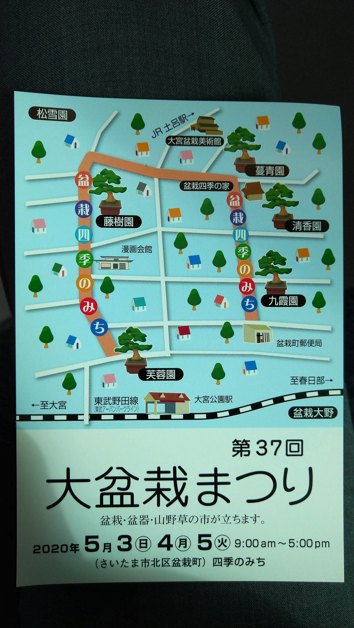 大宮盆栽村の角さん 大宮盆栽村の大盆栽まつりの案内を頂きました 今年も楽しみです T Co Y1zxenp4nw Twitter