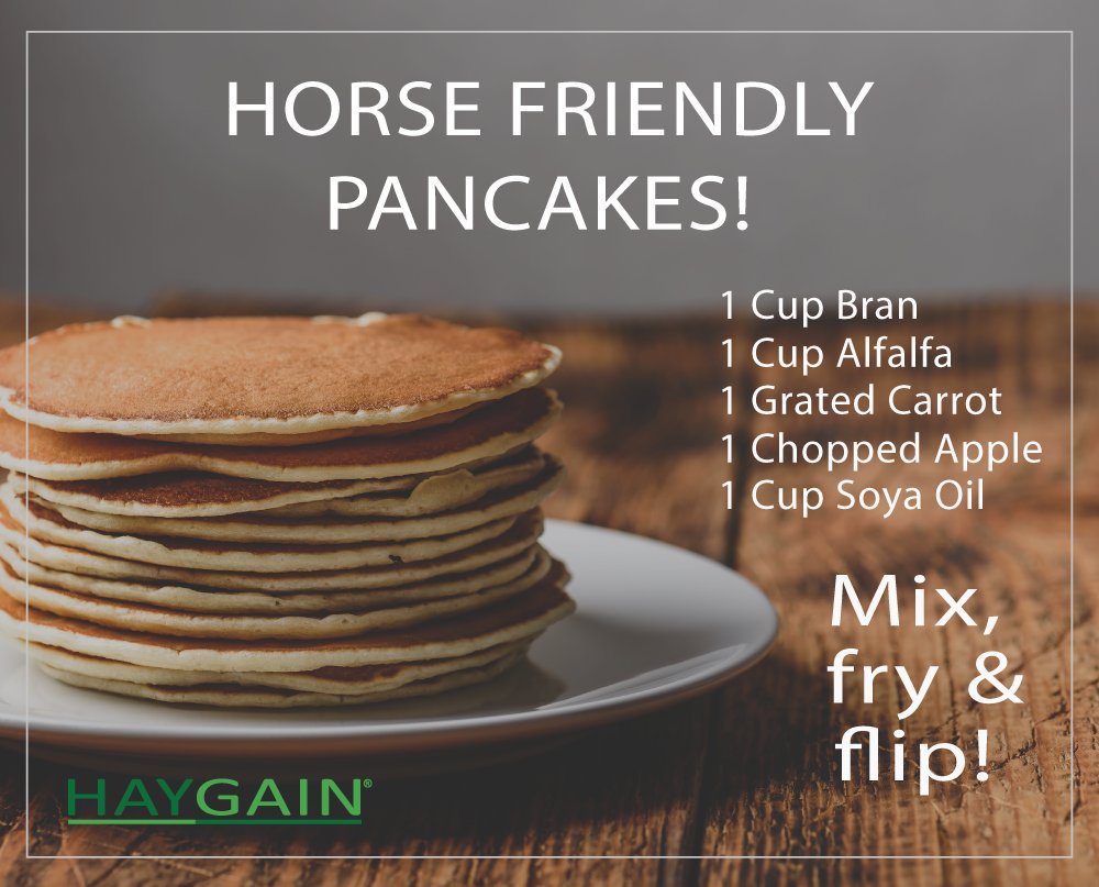 HAYGAINUK's tweet photo. Happy Pancake Day everyone!😀 Make sure your horses don't miss out on the flipping fun with this great horse friendly pancake recipe! 😆🦄

#pancakeday #horsefun #equestrian #haygain #haysteaming https://t.co/nikEg2KGmg