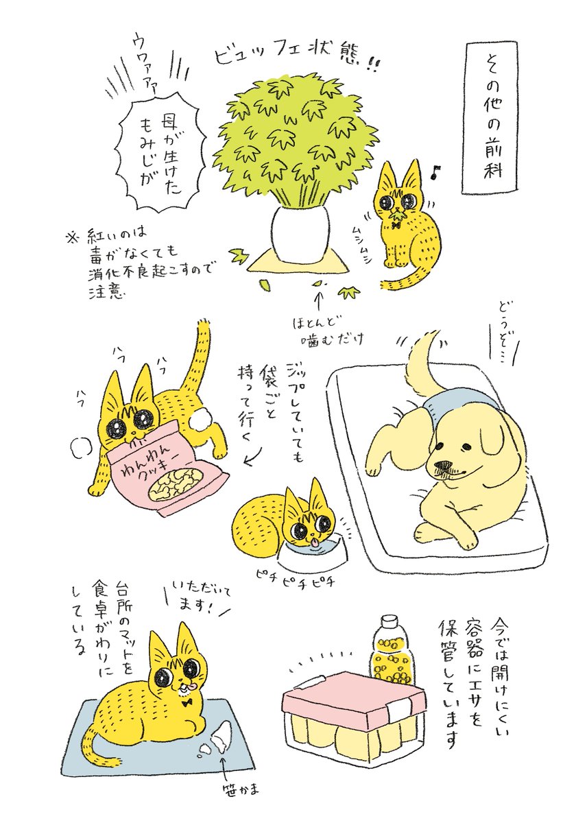 やっちゃんの食欲が凄かった頃の話 