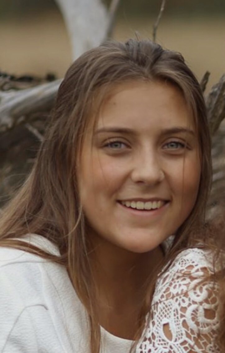 Hendriks, Paul H. J.\, image size:724x1135