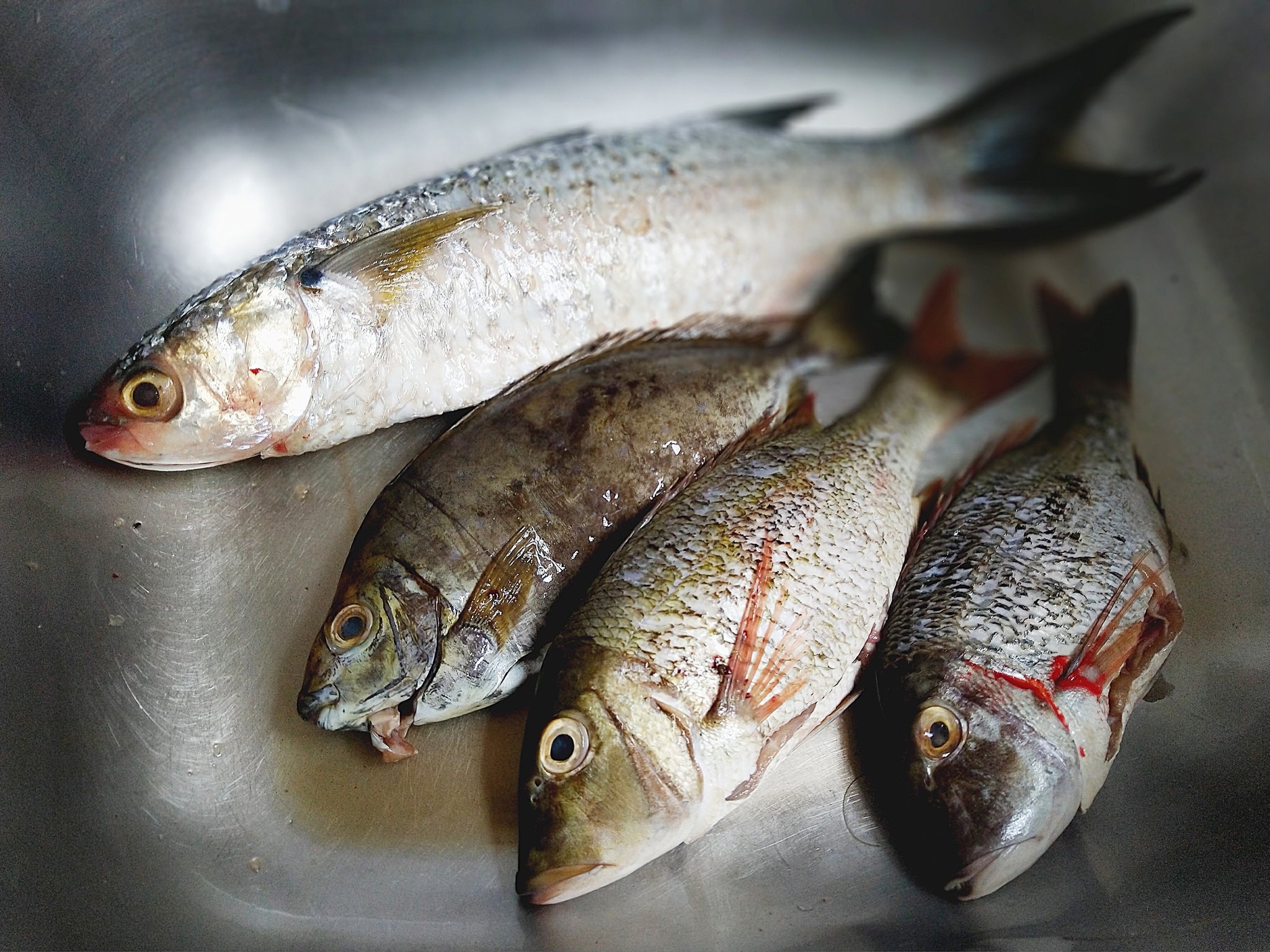 Tamtam's Fresh Seafood on Twitter "FRESH WHOLE FISH AVAILABLE Mkizi