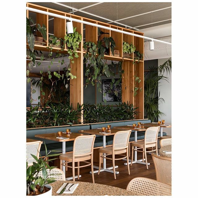 Nice feels. @thebeachhouse__ for <a href="/studio_gram/">studio -gram</a> 🔥 ift.tt/2w7ZHwH