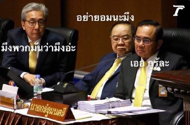 Kimpig tweet media