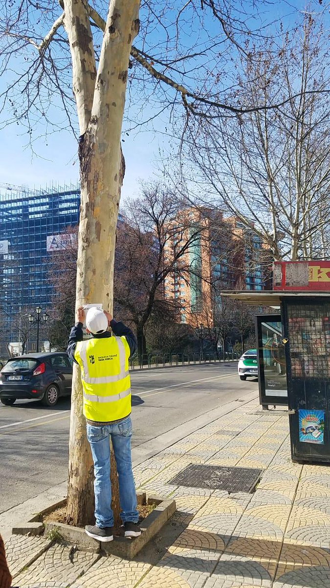 AMKTirane's tweet photo. Me kolegët e #TaskForca👷⛔️kujdesemi që bulevardi "Zhan D'Ark" të mos ketë pemë apo hapësira publike🌳🚯 të ndotura nga njoftime pa vlerë🧐Gjobë për këdo📝që vepron kundër rregullave të bashkëjetesës🏙️ https://t.co/z2azrUAj3s