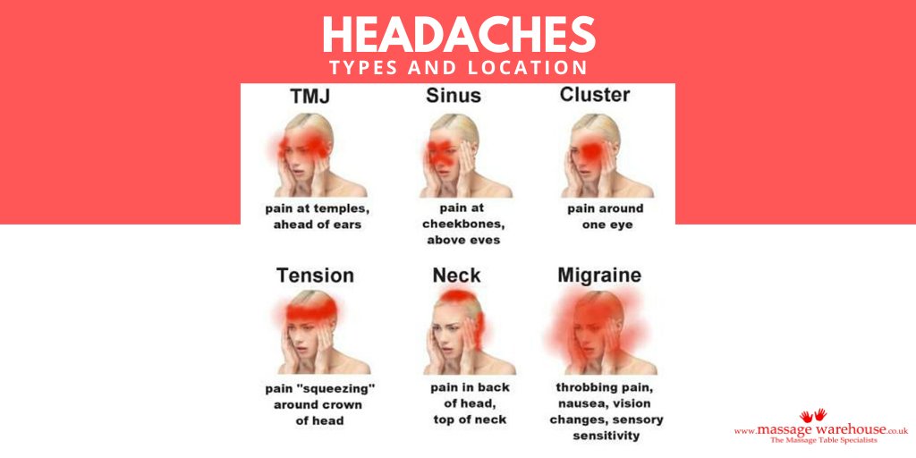 MassageWarehous's tweet photo. Help your clients and demonstrate your knowledge by investigating the exact nature of their headache pain #Massagetherapy #Massagetherapist #sportsmassage #sportsmassagetherapist #massageuk #massagetherapybusiness #mobilesportstherapy #mobilemassagetherapist #mobilemassagetherapy https://t.co/MbJsKPg8N8
