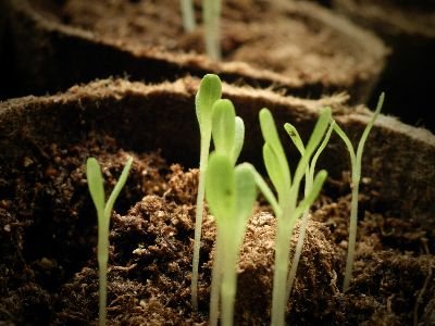 lycignews's tweet photo. Did you get to see the thoughts from team member Neil Short on running an enquirer's course in s small local church? Check it out here: https://t.co/XOBEniO2h2

And sign up for our monthly emails by scrolling to the bottom of our home page and giving us your email address. https://t.co/b9ue2mP26b