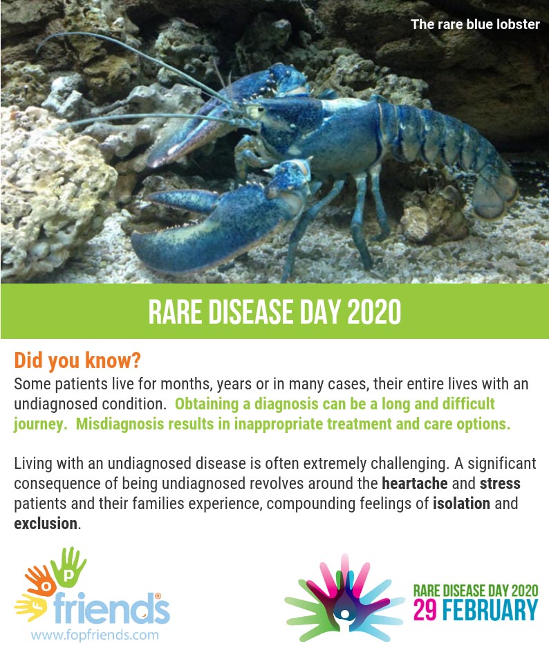 FOPFriends's tweet photo. Educating people to recognise the symptoms of FOP, such as the #TurnedInToes can help to speed up the #diagnosis of #FOP and prevent #misdiagnosis.  Another of our aims as a charity.  #FOPFriends #CureFOP #RareDiseaseDay #ShareYourRare. https://t.co/0OgVbpw70P