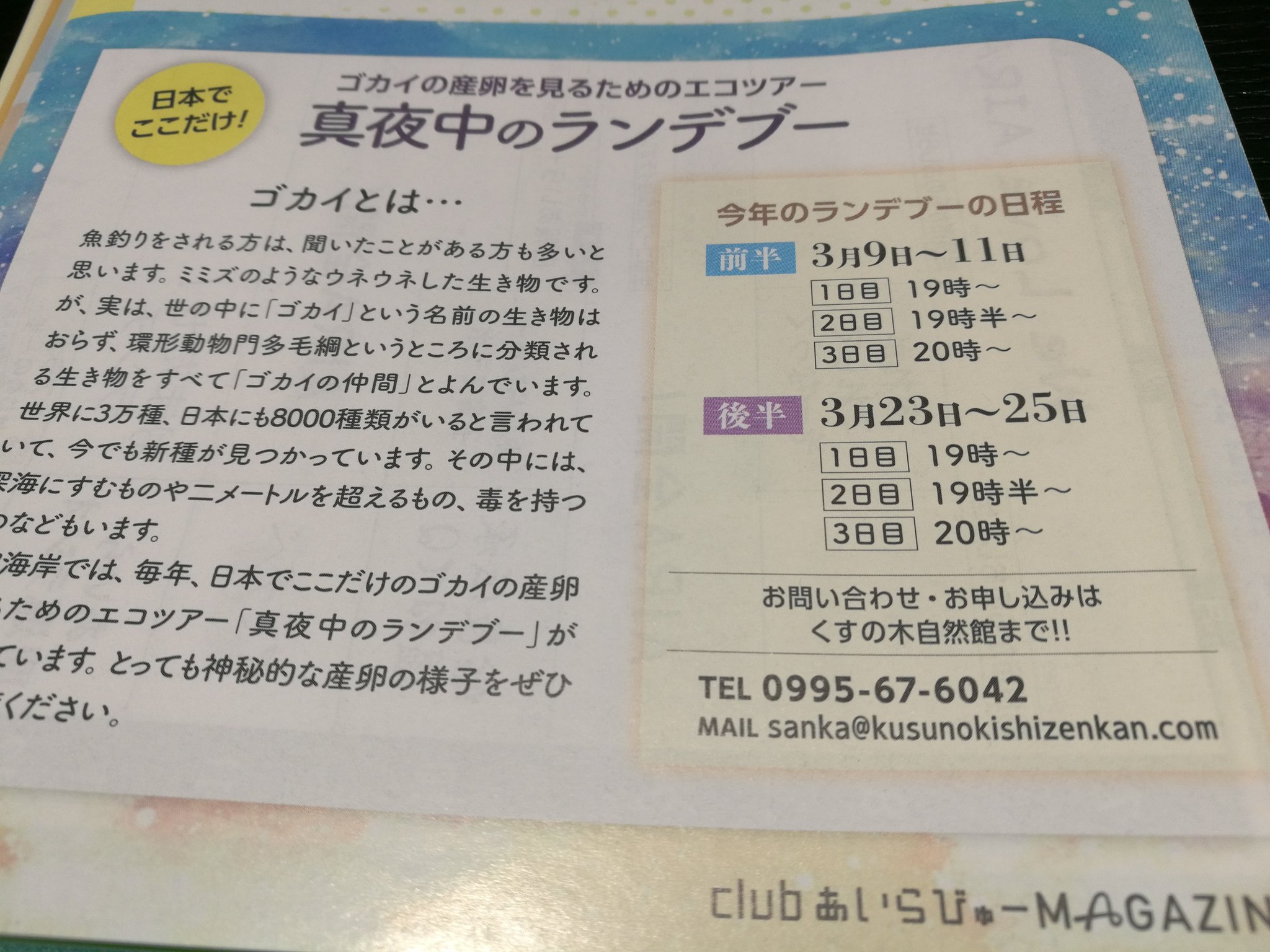 あいらびゅーfm 手を洗おう まもなく3月 3月といえば 真夜中のランデブー 世界でここだけ 詳しくは くすの木自然館のホームページをご覧ください T Co Noeot T Co Bazbr5nl11 Twitter