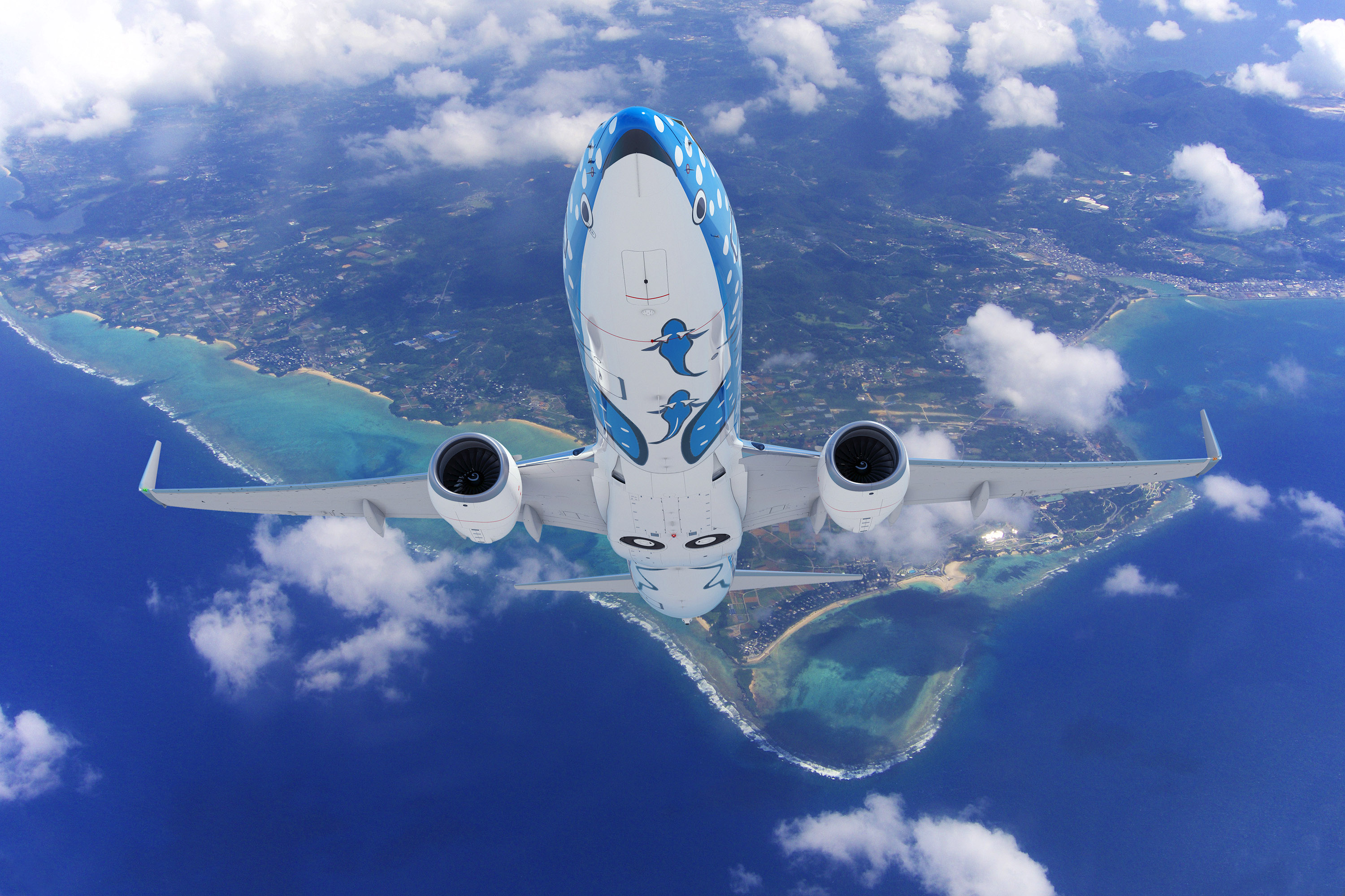 Jta 日本トランスオーシャン航空 En Twitter 見れたらラッキー ジンベエジェットの機体の秘密 沖縄美ら海水族館のジンベエザメを モデルにしたジンベエジェットの お腹には実はコバンザメが 機体下側なのでめったに見れませんが 那覇空港近くの瀬長島に行くと