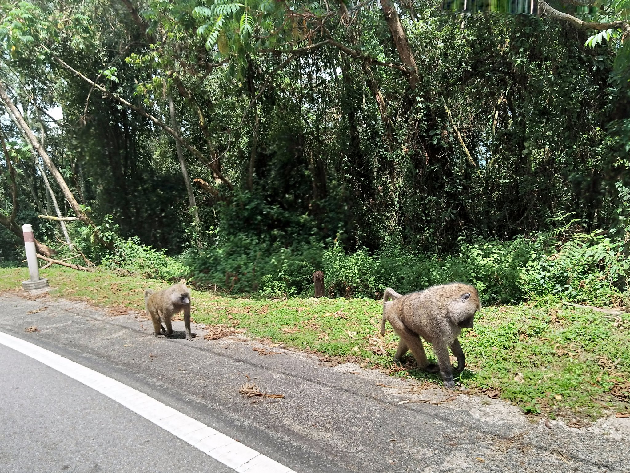 ERnTKQ9XUAARYHZ?format=jpg&name=4096x4096