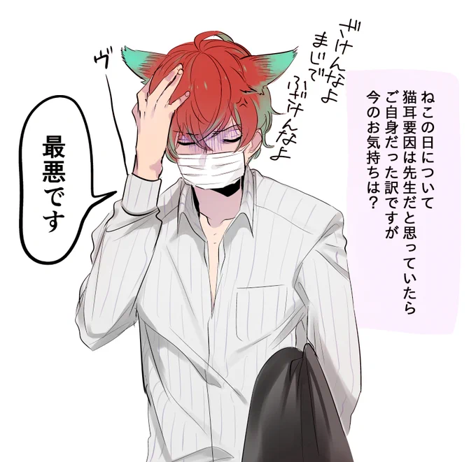 去年の猫の日のどぽさんです 