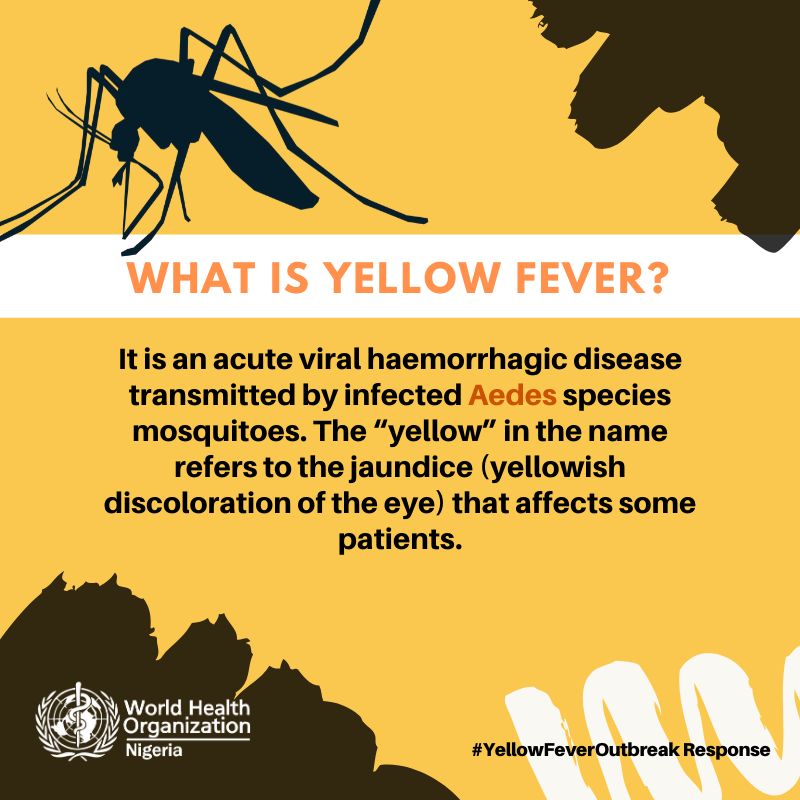 WHONigeria's tweet photo. #FAQs
Whats is #Yellowfever: It is an acute viral #haemorrhagic disease transmitted by infected Aedes species mosquitoes. The “yellow” in the name refers to the jaundice (yellowish discoloration of the eye) that affects some patients.

#Vaccines
#VaccinesWork https://t.co/pjGm3G7Dzz