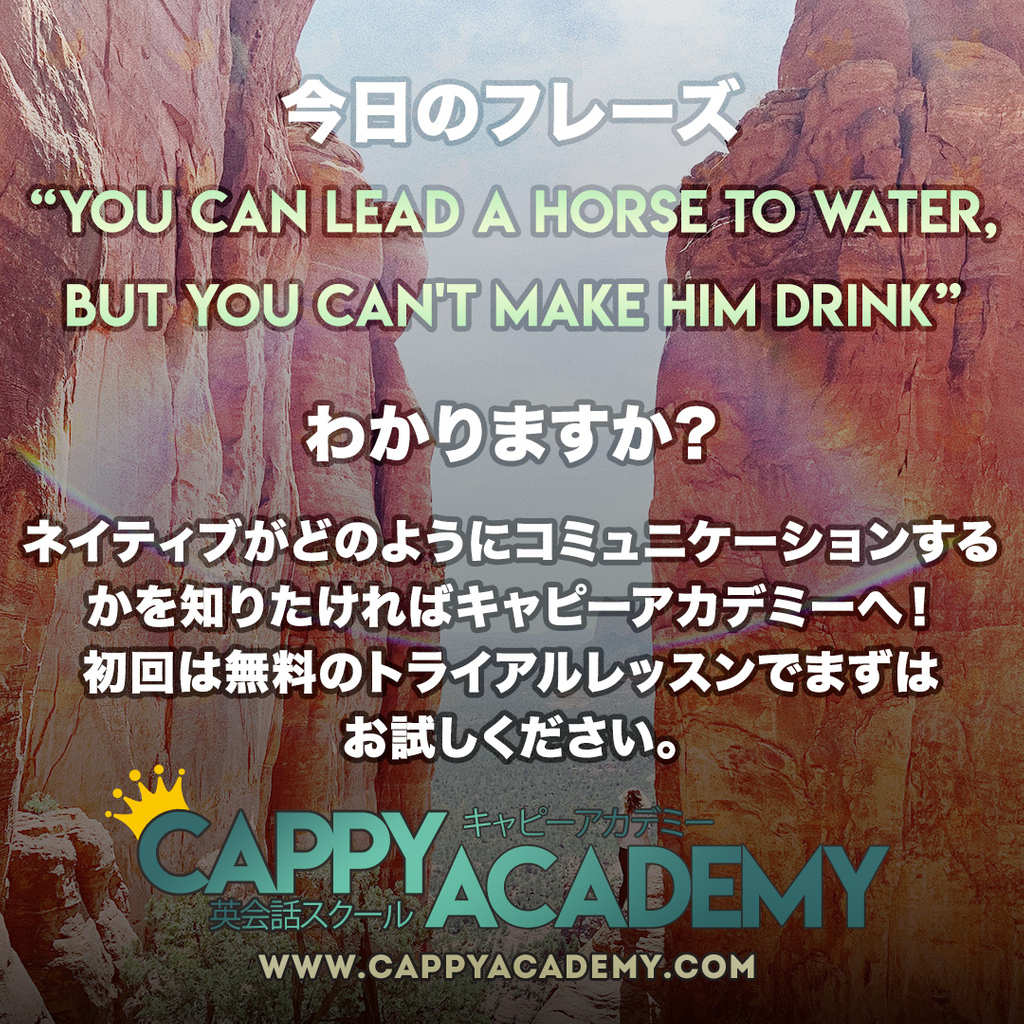 Cappyacademy's tweet image. Welcome to cappyacademy.com⁠
⁠
#天神　#博多　#tenjin　#英会話スクール　#English #福岡 #旅行 #daimaru #中洲 #英語 ⁠
#マンツーマン #外国人講師⁠