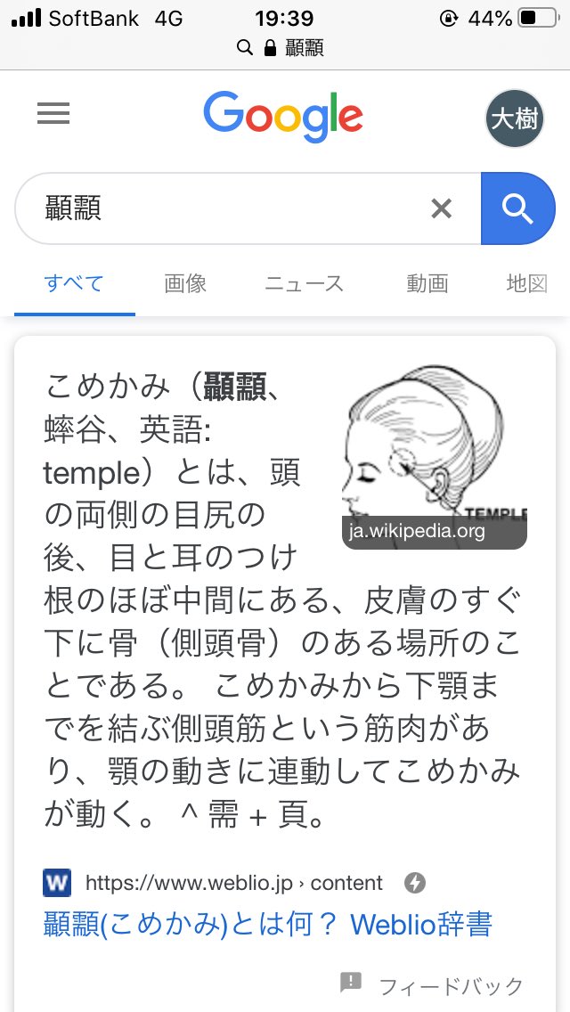 こめかみ 漢字 こめかみ