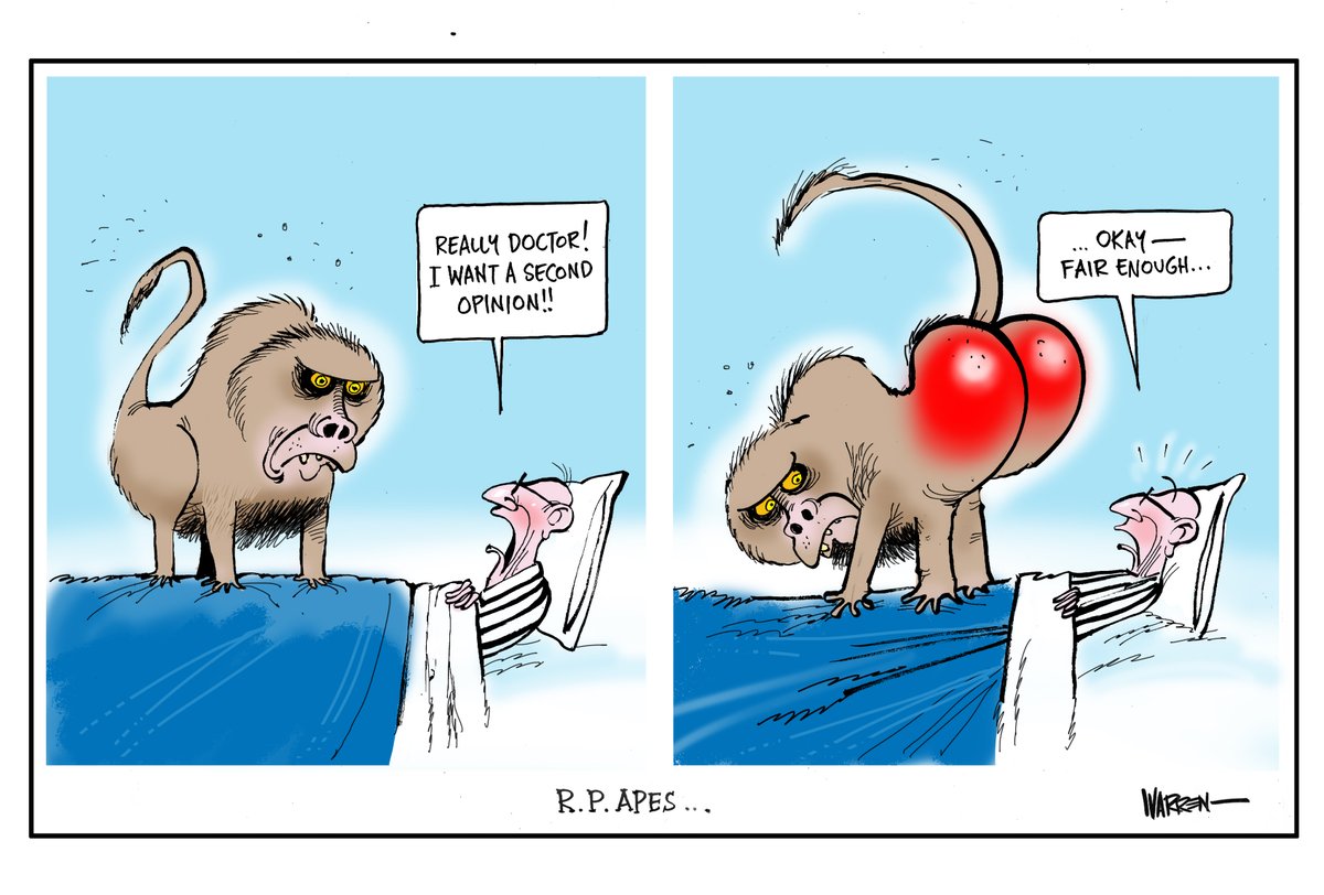 Just when you think the news is so bad it's uncartoonable, Sydney's RPA has three baboons on the loose - I kid you not!!!