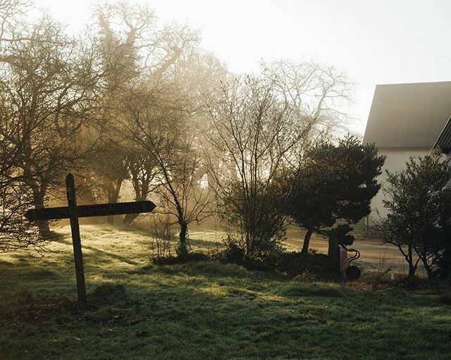 This was our garden exactly a year ago. The same view this year shows the damson tree (on the left) less a few branches that were torn off in one of the storms, and the signpost has been blown over too. The sun is out though, finally. ift.tt/3a6zZrs