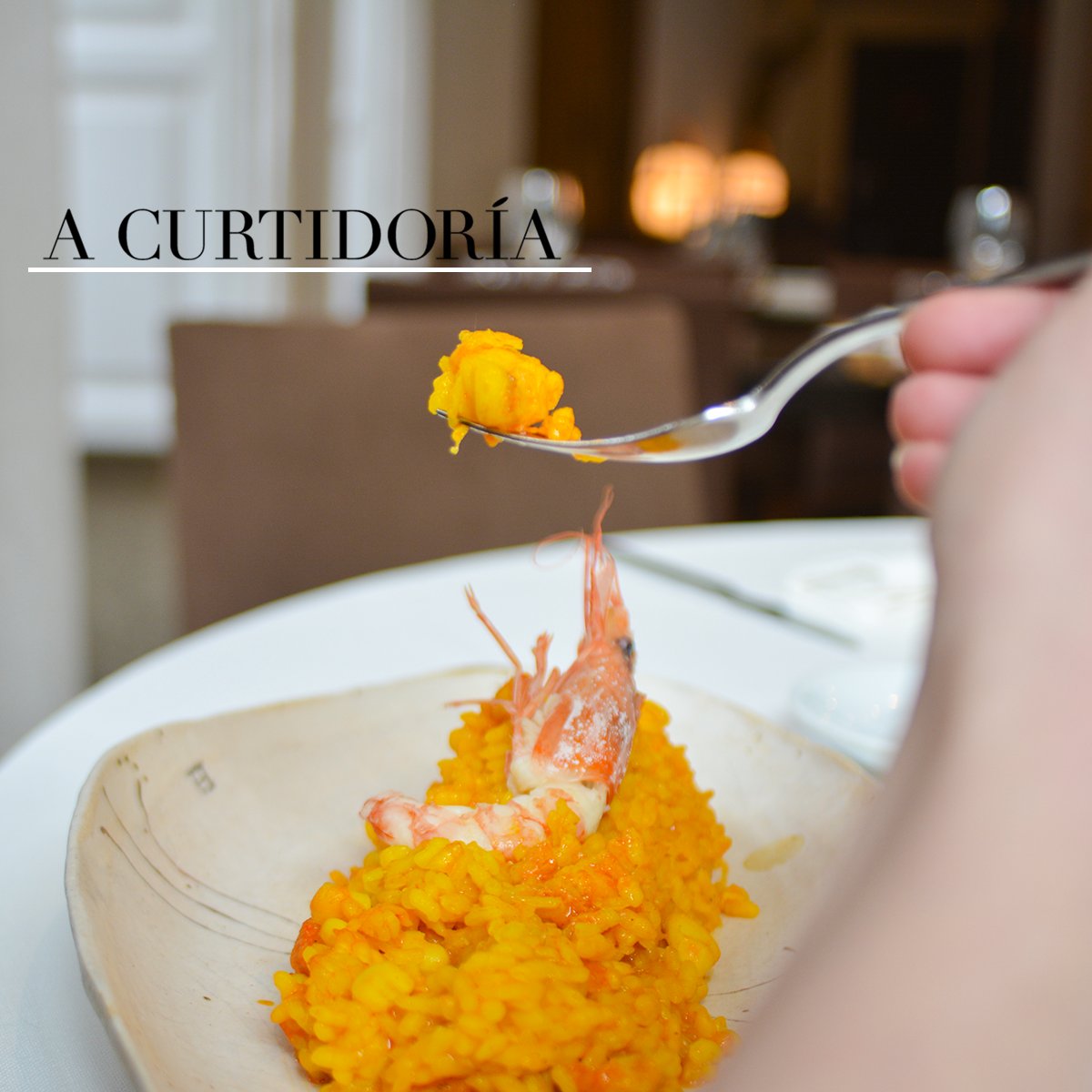 A Curtidoria tweet media