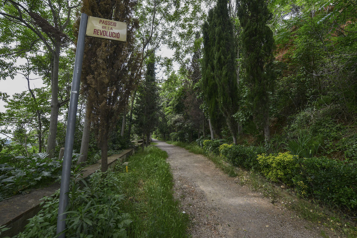 🌳El govern de l'<a href="/Aj_Sabadell/">Ajuntament Sabadell</a>, encapçalat per <a href="/socmartafarres/">Marta Farrés/❤️</a> protegirà els bancs, murs i jardins del Passeig de la Revolució incloent-los dins del Pla Especial de Patrimoni de #Sabadell.