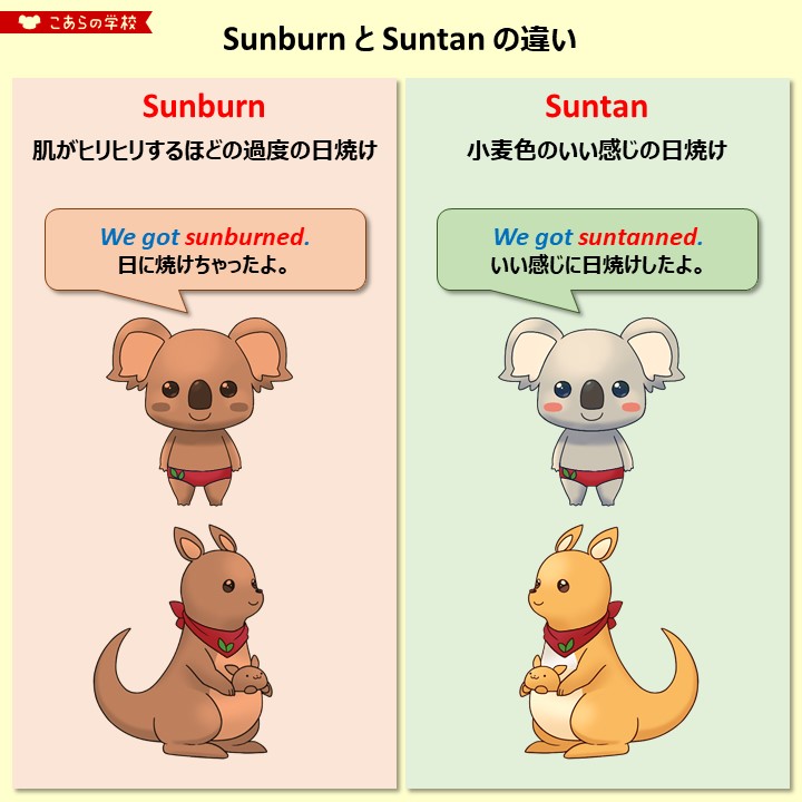 「【日焼け】Sunburn と Suntan の違い 」|こあたん🇦🇺こあらの学校のイラスト