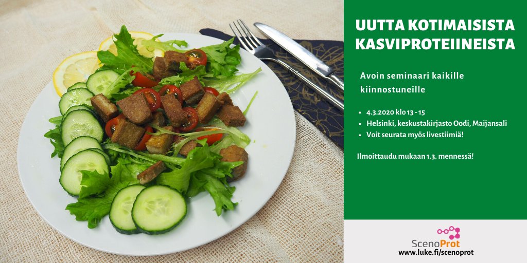 scenoprot's tweet photo. Kerromme uusimpia ScenoProtin tuloksia avoimessa tilaisuudessa Helsingin keskustakirjasto Oodissa 4.3. klo 13–15. Ilmoittaudu 1.3. mennessä. Tule paikalle tai seuraa striimiä! #kestävätproteiinit https://t.co/H0hs13b7MA https://t.co/yKmah6hm7s