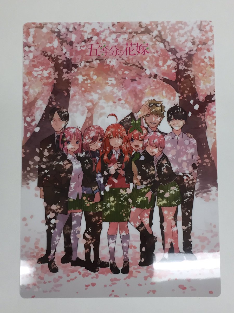 桜瑪瑙 五等分の花嫁 アニーク anique 卒業式 | brightsidecounselling.ie