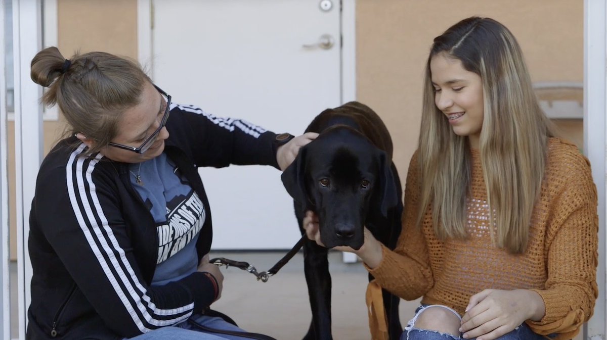 BexarFest_org's tweet image. Don't miss #HarlanHighSchool @harlanhawkmedia and #GuideDogsofTexas @bestdogsinsight at 10 a.m. today on #SanAntonioLiving on @News4SA. Host #ShellyMiles is featuring the Best of #BexarFest all week.