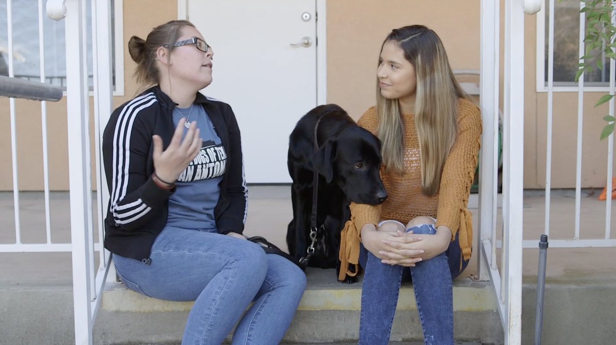 BexarFest_org's tweet image. Don't miss #HarlanHighSchool @harlanhawkmedia and #GuideDogsofTexas @bestdogsinsight at 10 a.m. today on #SanAntonioLiving on @News4SA. Host #ShellyMiles is featuring the Best of #BexarFest all week.