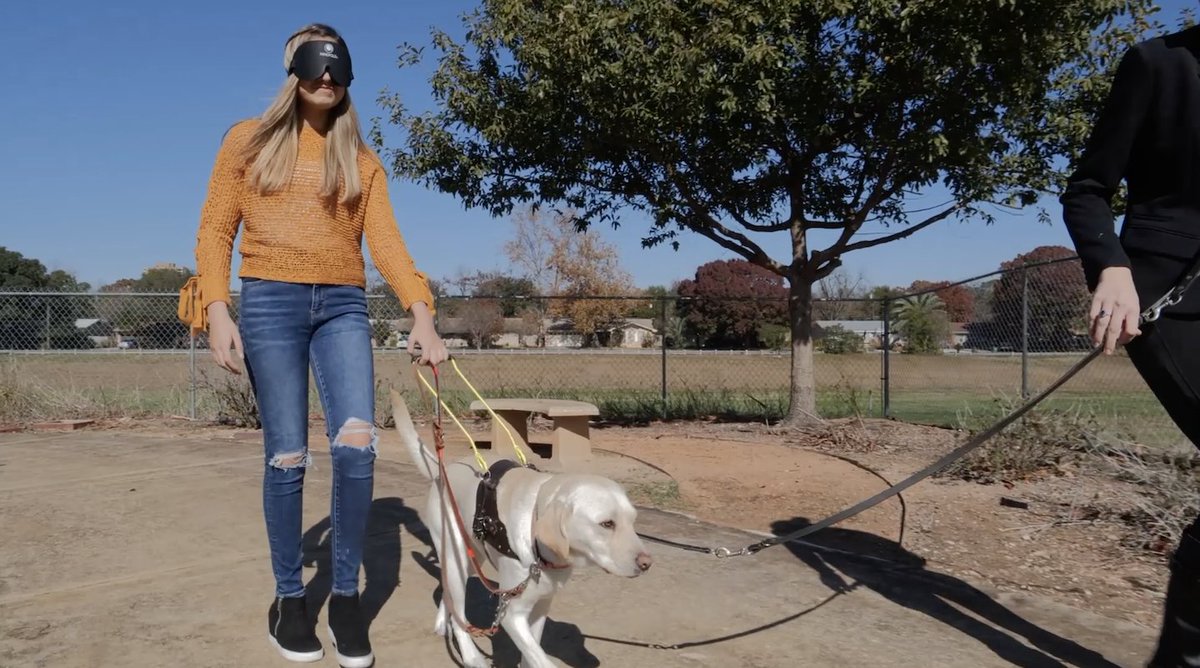 BexarFest_org's tweet image. Don't miss #HarlanHighSchool @harlanhawkmedia and #GuideDogsofTexas @bestdogsinsight at 10 a.m. today on #SanAntonioLiving on @News4SA. Host #ShellyMiles is featuring the Best of #BexarFest all week.