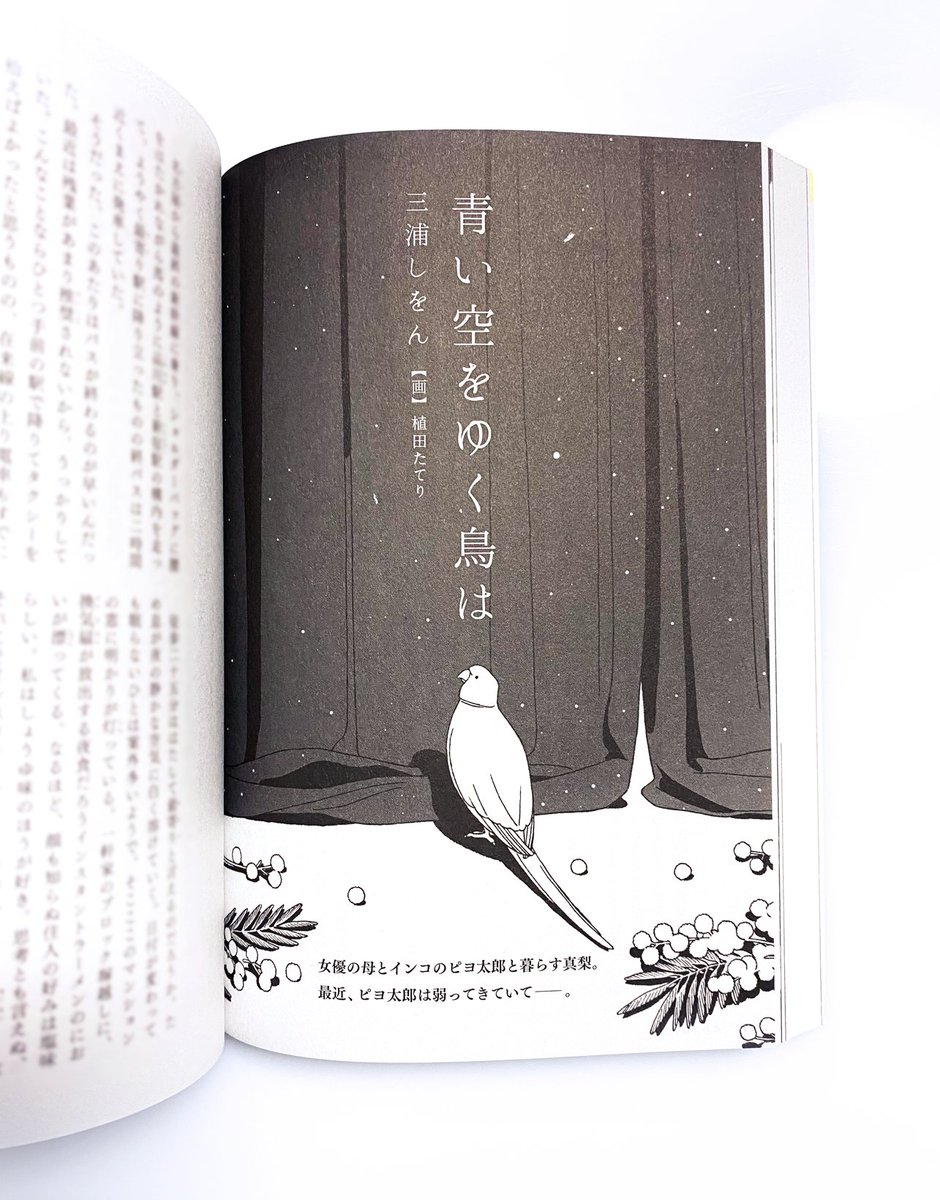 【お知らせ】講談社の文芸誌『小説現代』2020年3月号にて掲載された読み切り『青い空をゆく鳥は』著:三浦しをんさん
こちらの扉絵を担当いたしました。ぜひお読みください! 