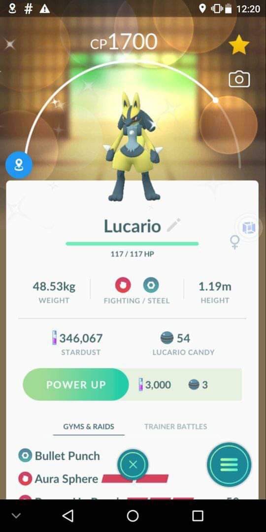 Pokemon Shiny Lucario 52