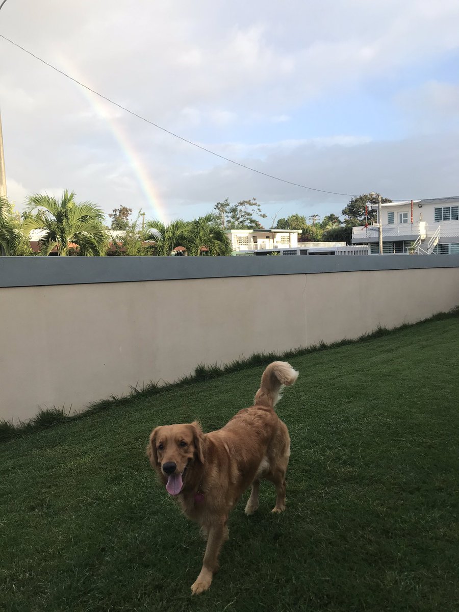 YaidieL's tweet photo. @adamonzon Asi amaneció guaynabo 🌈 lindo día att Marley 🐾 https://t.co/FR0AxXd1BU